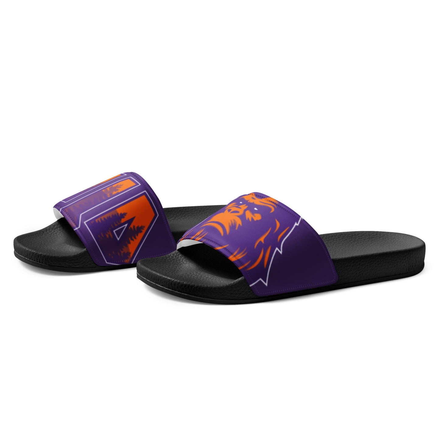 WILD Slides