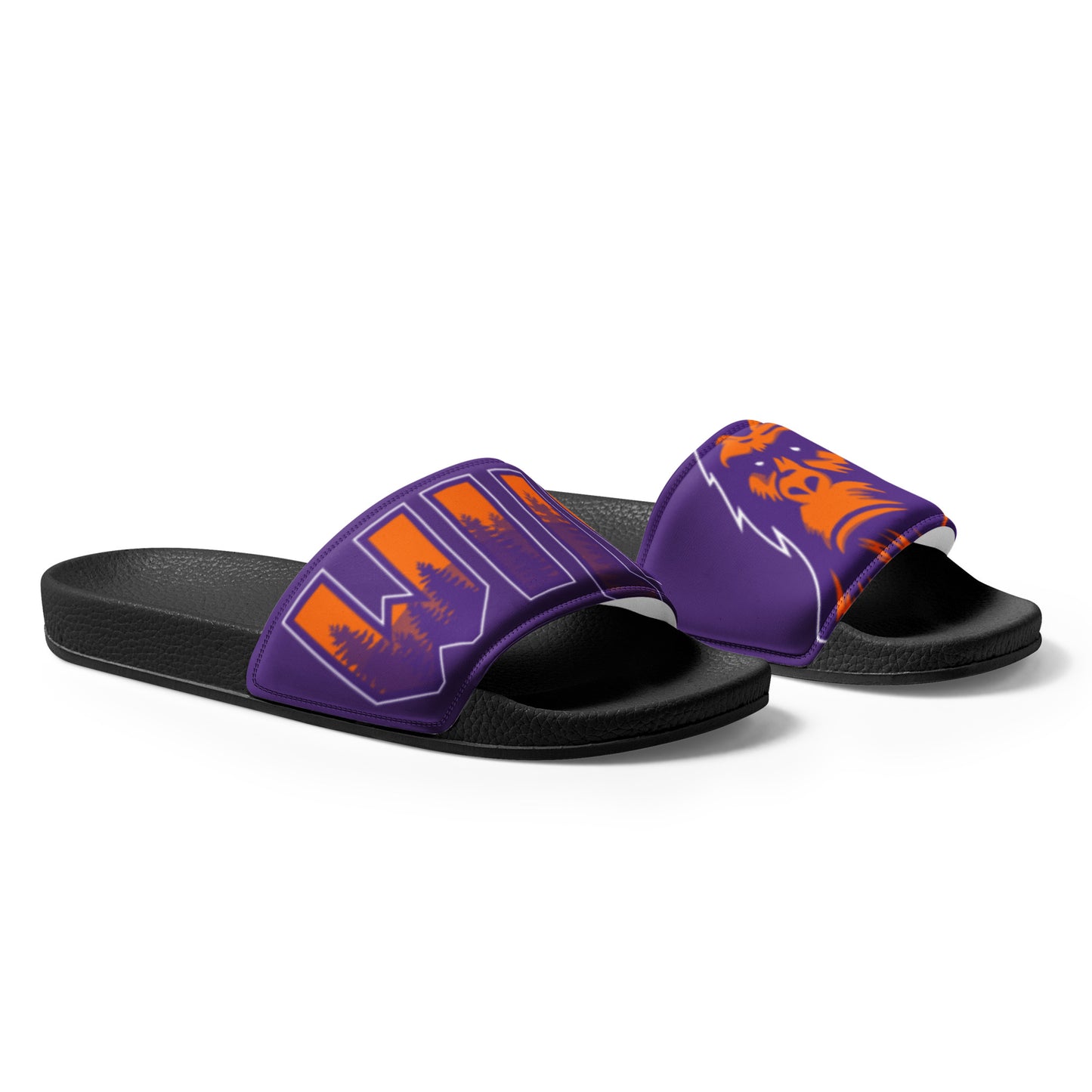 WILD Slides